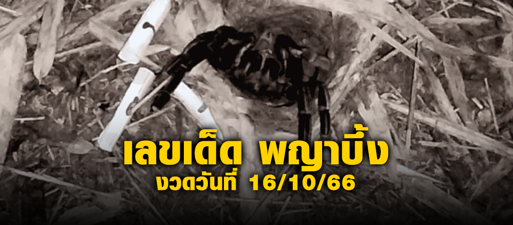 เลขเด็ด พญาบึ้ง งวดวันที่ 16/10/66