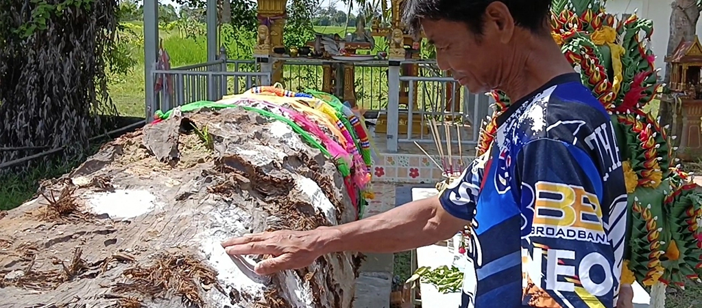 ชาวบ้านแห่ใหว้ตะเคียนแม่ย่า 100 ปี