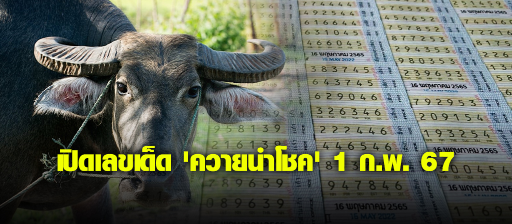 เปิดเลขเด็ด 'ควายนำโชค' 1 ก.พ. 67